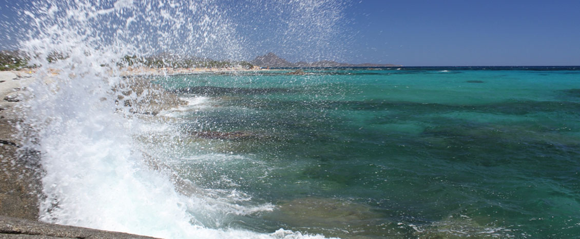 7 S.E.IMG_9398_1024x683